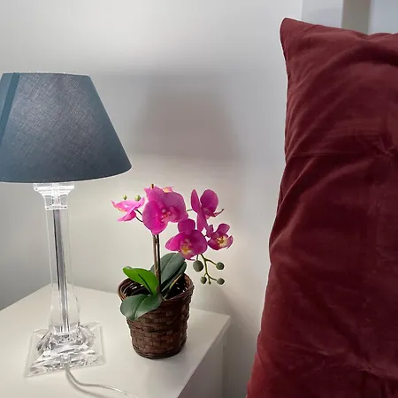 Anna's House Apartment